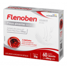 FLENOBEN 600MG C/60 CPS