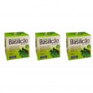 BASILICAO POMADA 20G THERNY